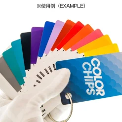 Color Chips - Solid Color