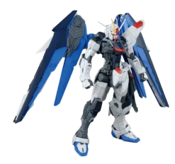 [DMG BOX] MG ZGMF-X10A Freedom Gundam (Ver. 2.0)