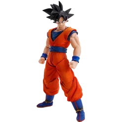 Dragon Ball Z Imagination Works Goku