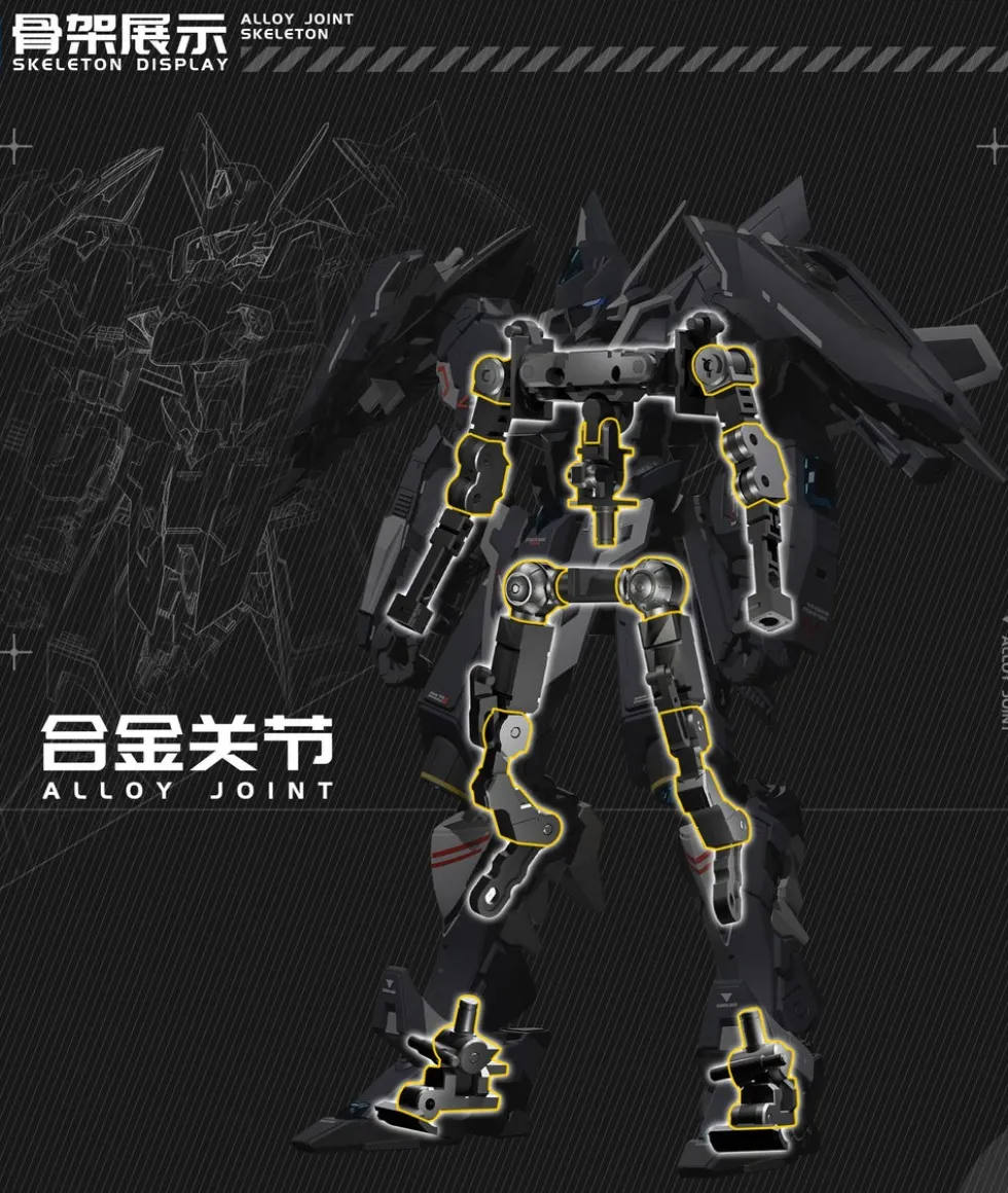 Dragon Fighter Soul J-20 CangWei