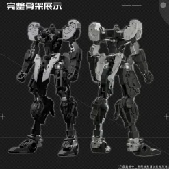 Dragon Fighter Soul J-20 CangWei
