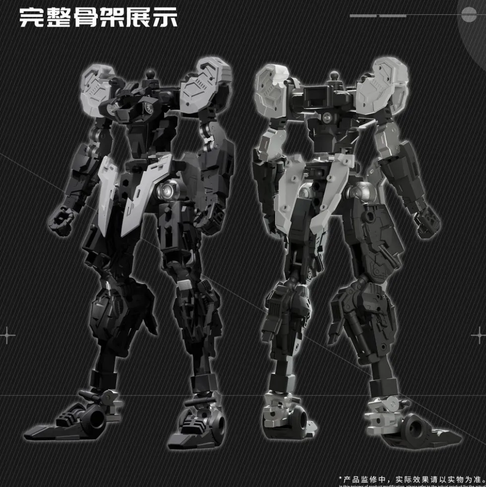 Dragon Fighter Soul J-20 CangWei