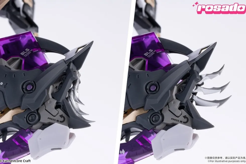 Earnestcore 1/10 RS-02 Starflower Black Iris