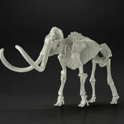 Exploring Lab Nature Mammoth