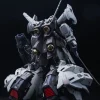 GMD 1/100 MS-07H-8 Gouf Flight Type GK DX