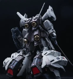 GMD 1/100 MS-07H-8 Gouf Flight Type GK DX