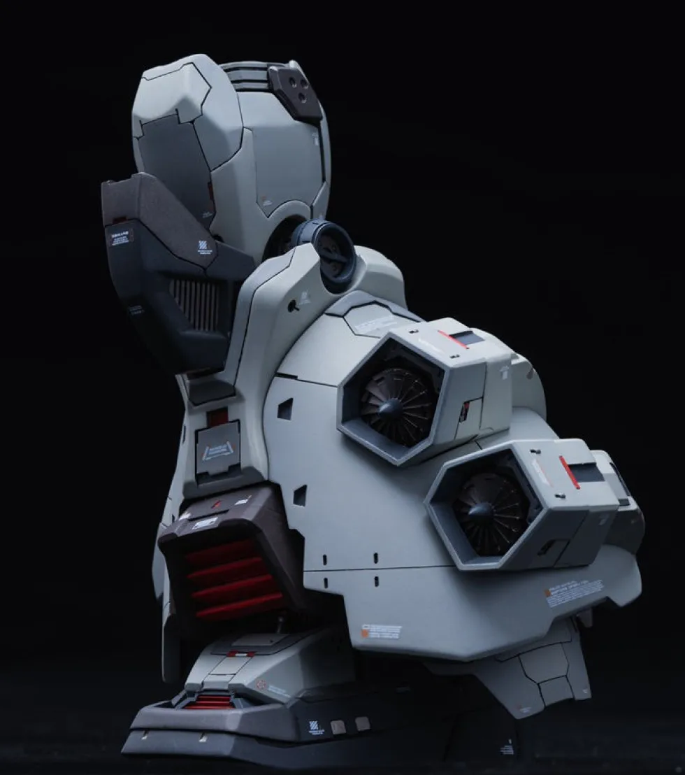 GMD 1/100 MS-07H-8 Gouf Flight Type GK DX