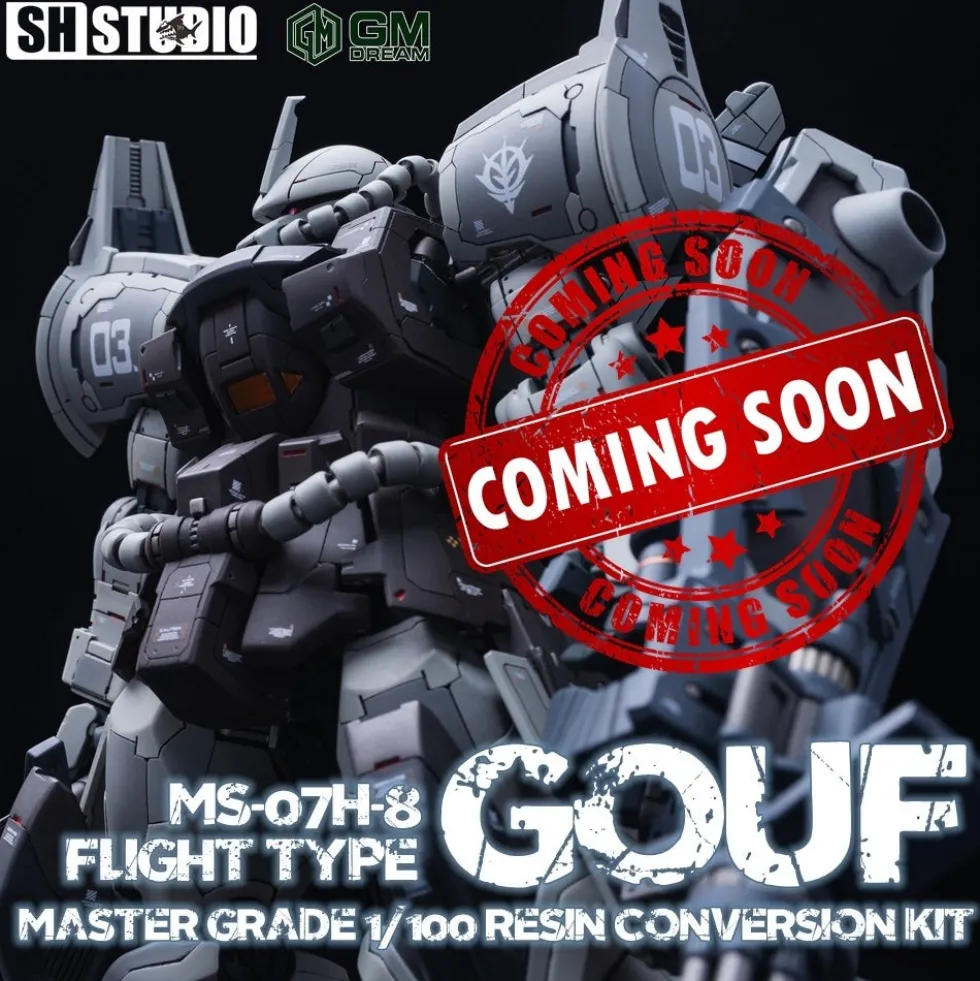 GMD 1/100 MS-07H-8 Gouf Flight Type GK DX