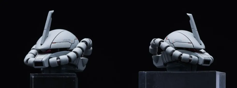 GMD 1/100 MS-07H-8 Gouf Flight Type GK DX