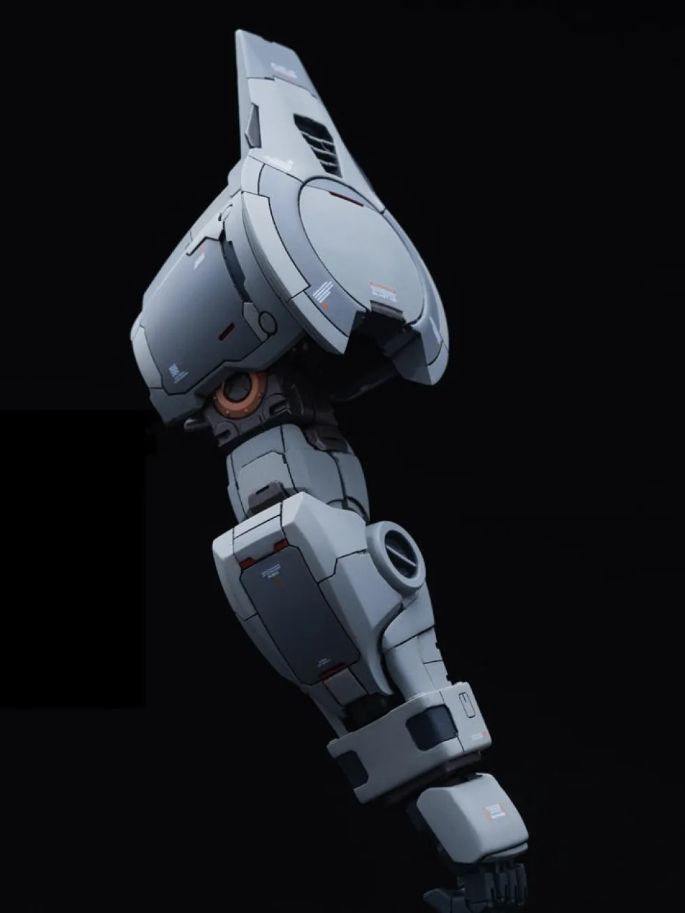 GMD 1/100 MS-07H-8 Gouf Flight Type GK DX
