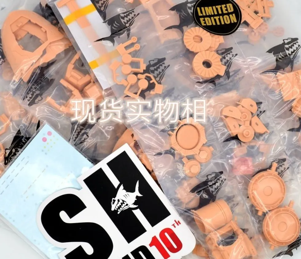 GMD 1/100 MS-07H-8 Gouf Flight Type GK DX