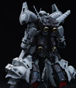GMD 1/100 MS-07H-8 Gouf Flight Type GK DX