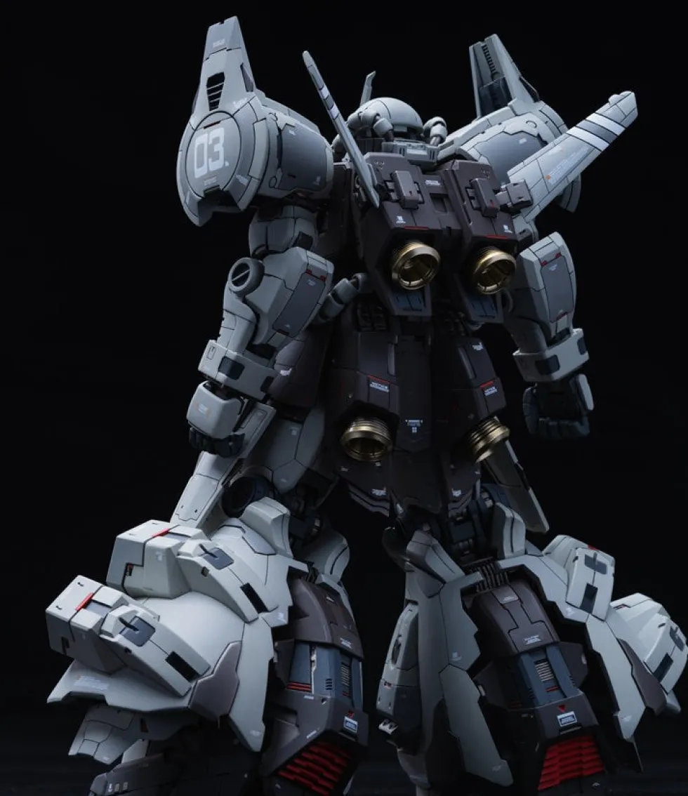 GMD 1/100 MS-07H-8 Gouf Flight Type GK DX