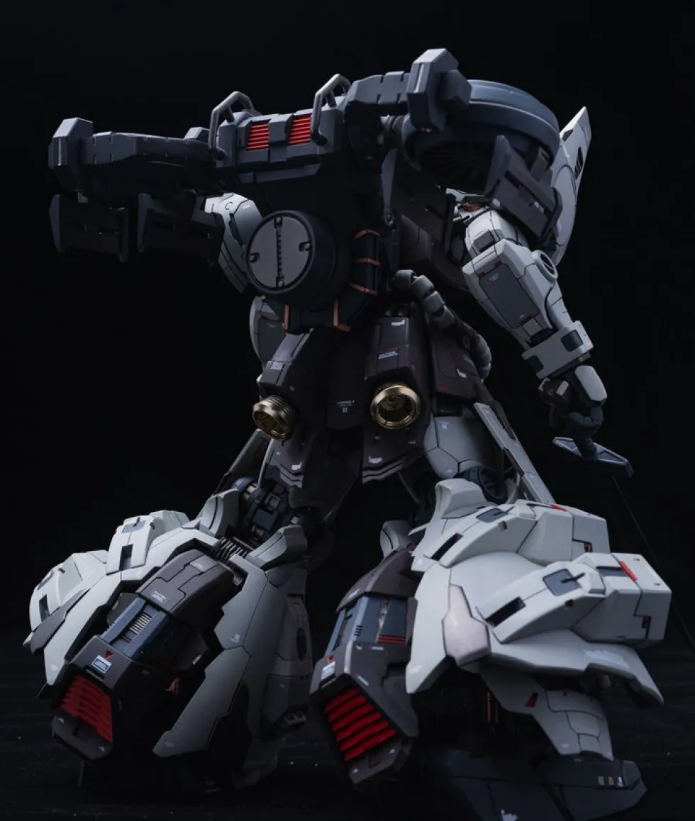 GMD 1/100 MS-07H-8 Gouf Flight Type GK DX