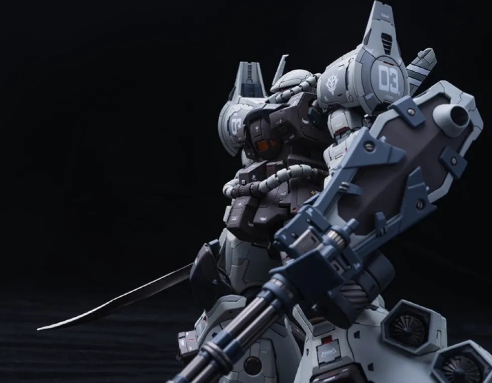 GMD 1/100 MS-07H-8 Gouf Flight Type GK DX