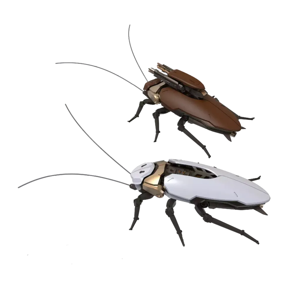 Guangdong Roach