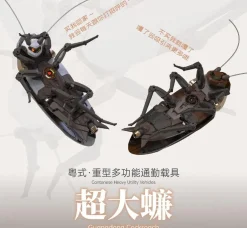 Guangdong Roach