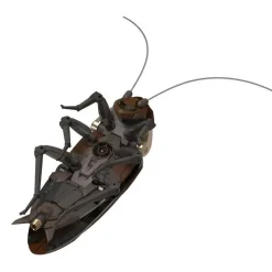 Guangdong Roach