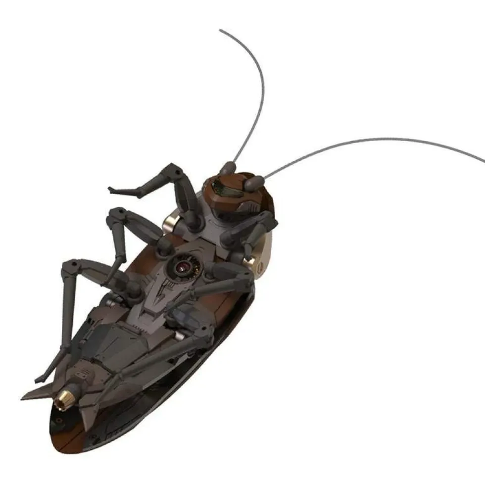 Guangdong Roach