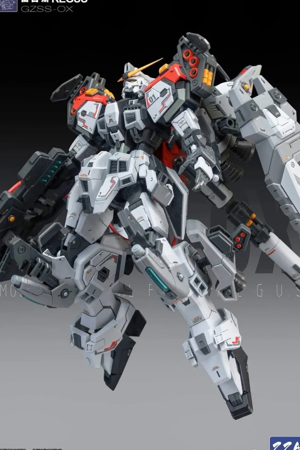 1/100 GZSS-OX01 Regus