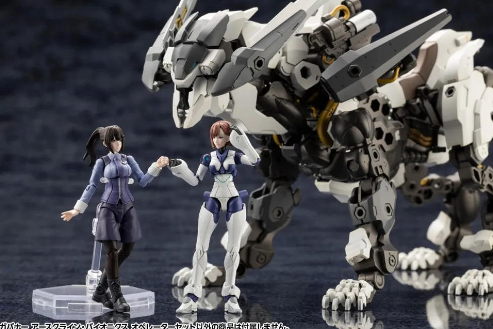 Hexa Gear Earthcline Biomechanics Operators