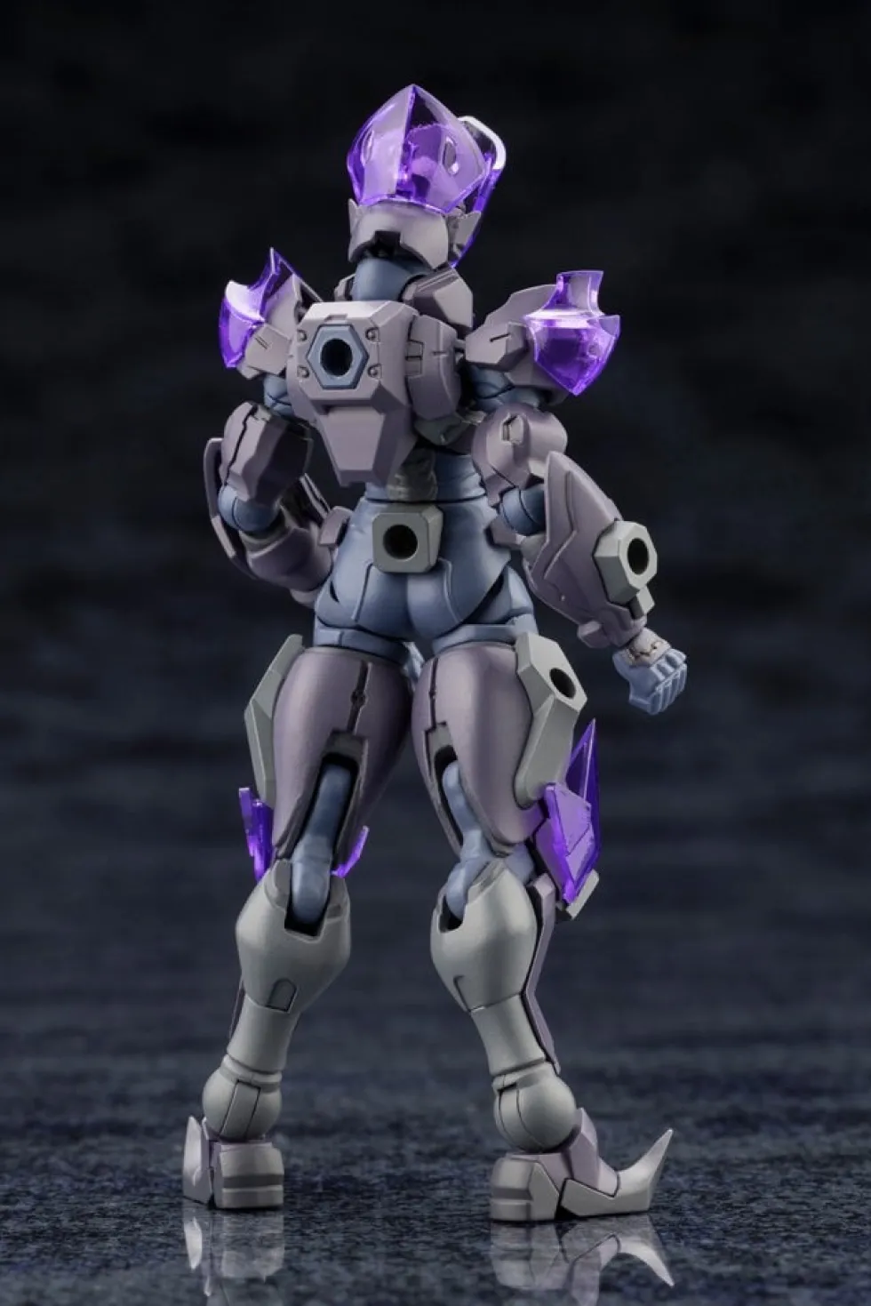 Hexa Gear Governor EX Armor Type:Bishop (Noir)