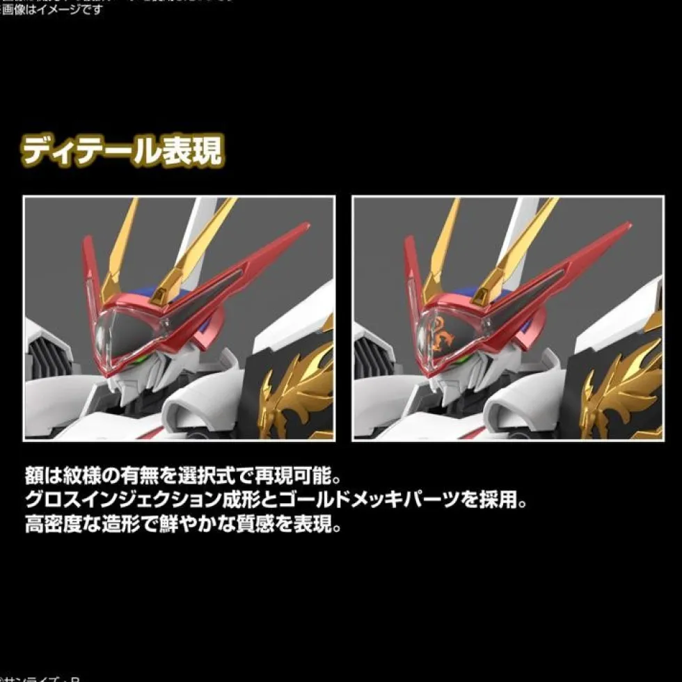 HG Amplified IMGN Ryuoumaru