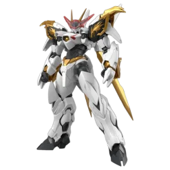 HG Amplified IMGN Ryuoumaru