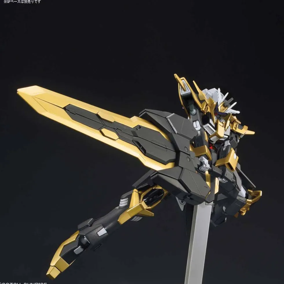 HGBF 055 Gundam Schwarzritter