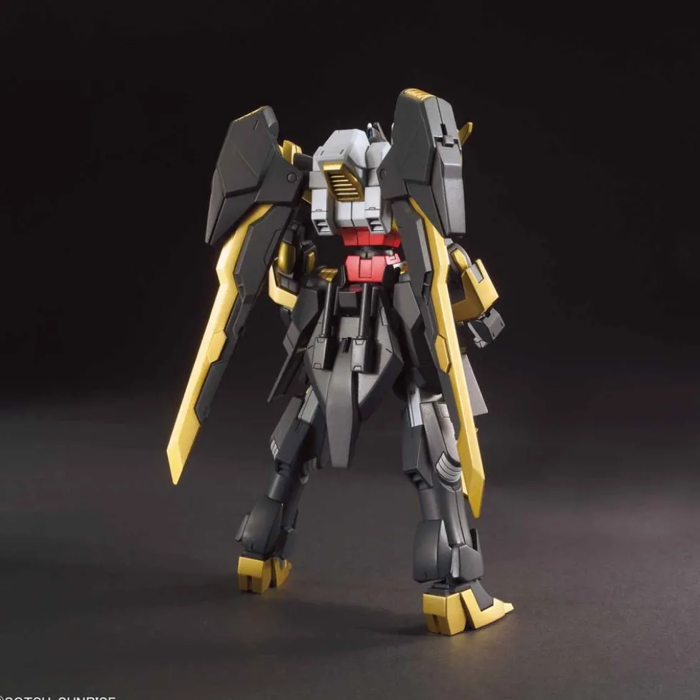 HGBF 055 Gundam Schwarzritter