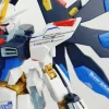 HGCE Strike Freedom