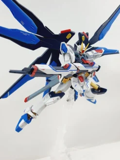 HGCE Strike Freedom