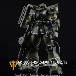 HGGTO MS-06C Zaku II Decals
