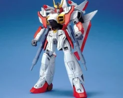 HG 1/100 Gundam Airmaster (Vintage)