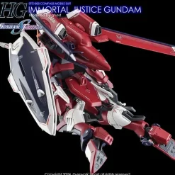 HG Immortal Justice Gundam Decals