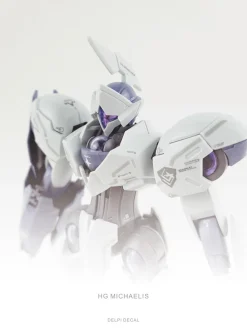 HG Michaelis