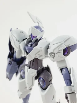 HG Michaelis