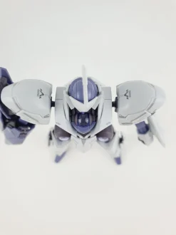 HG Michaelis