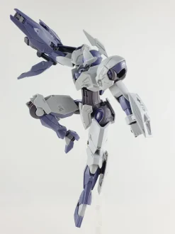 HG Michaelis