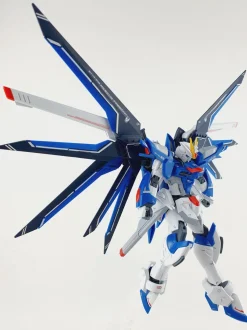 HG Rising Freedom Gundam