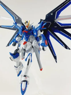 HG Rising Freedom Gundam