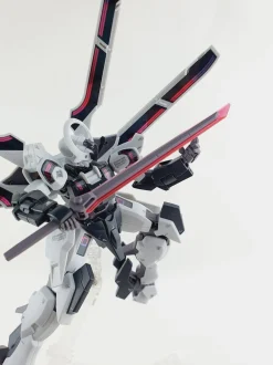 HG Schwarzette