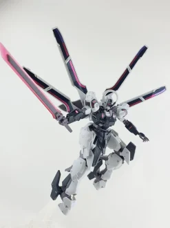 HG Schwarzette