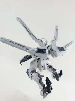 HG Schwarzette