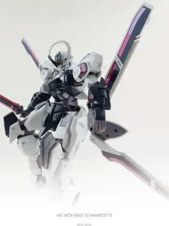HG Schwarzette