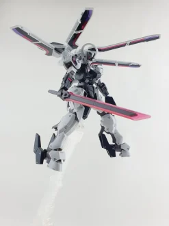 HG Schwarzette