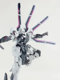 HG Schwarzette