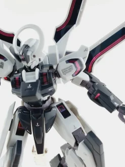 HG Schwarzette