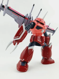 HG SEED Z'Gok
