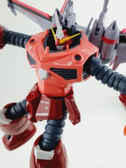 HG SEED Z'Gok